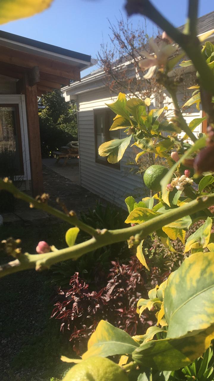 Sitios externos de Mi Refugio Olmué